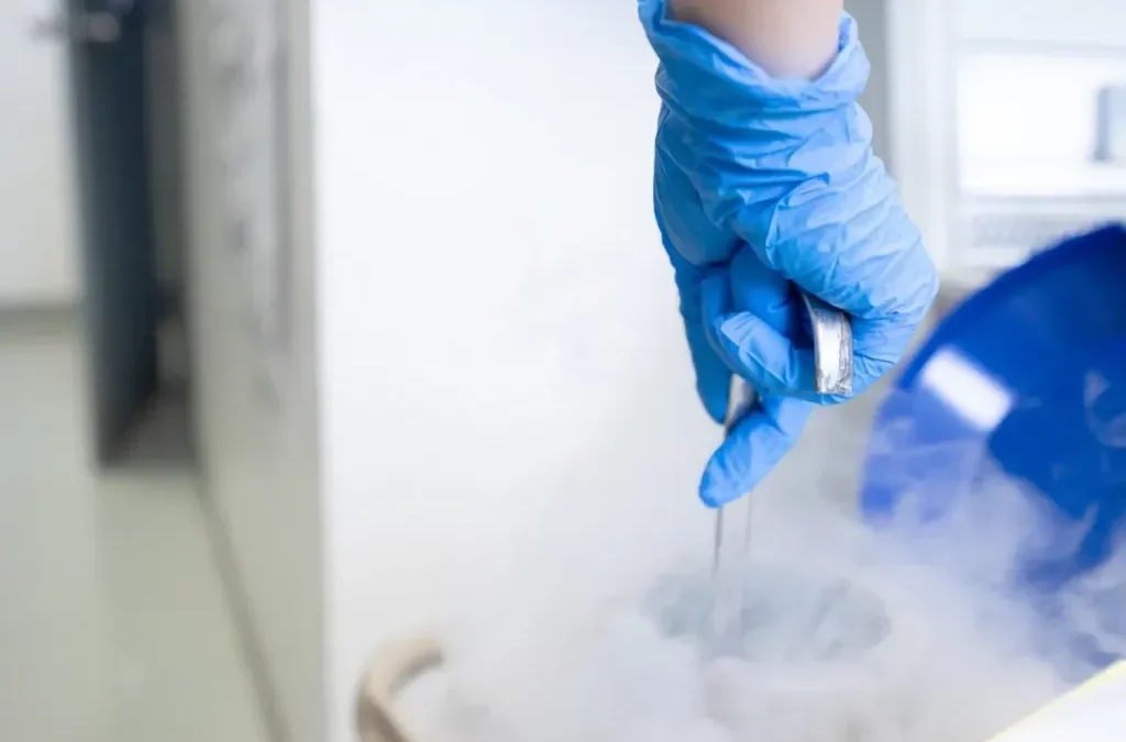How Does Egg Freezing Work?